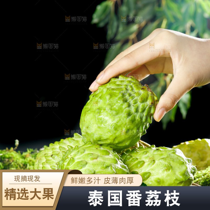 手里拿着释迦果