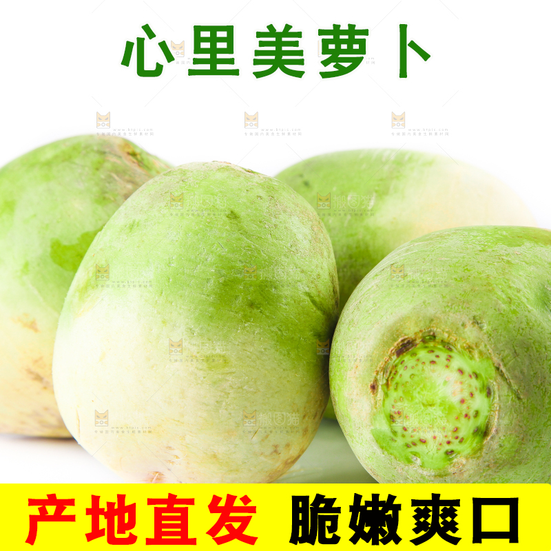 白底上的心里美萝卜