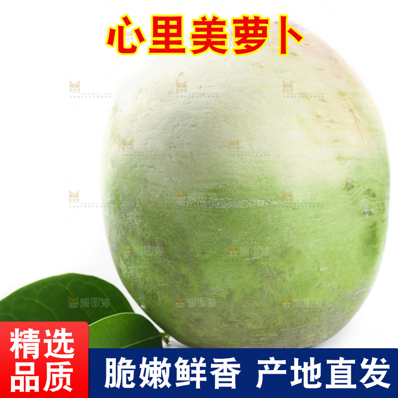 白底上摆放着心里美萝卜