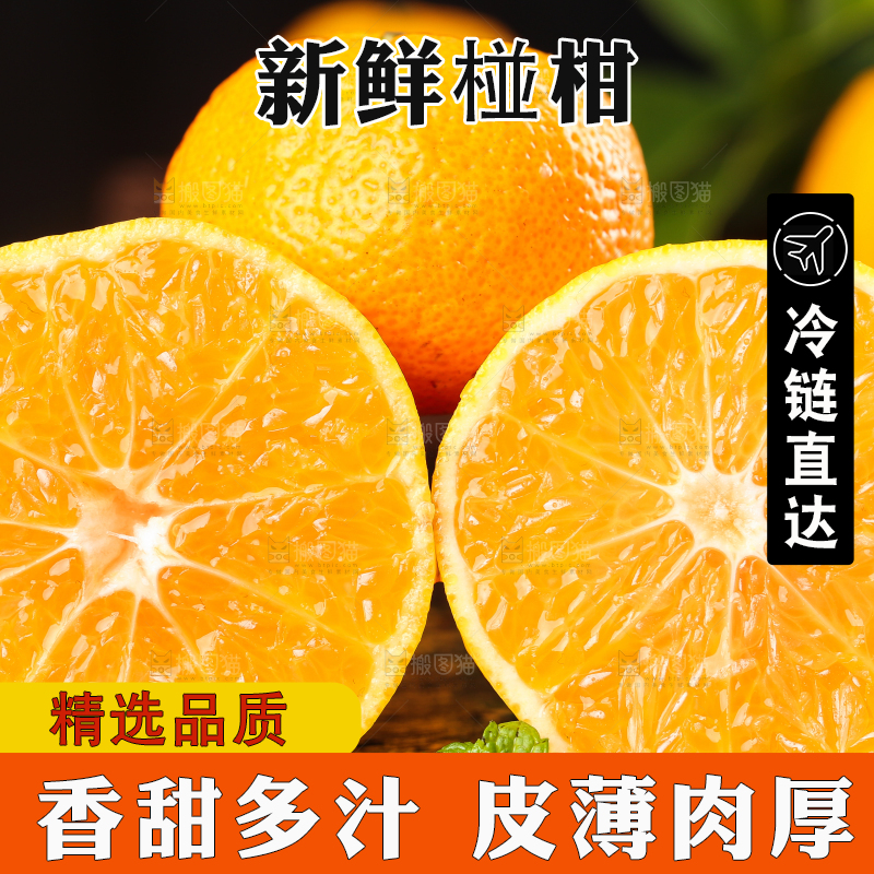 黑底上摆放着椪柑
