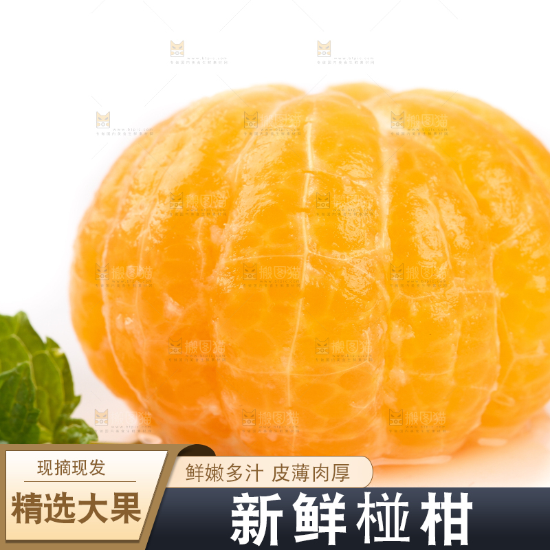 白底上摆放着椪柑橘