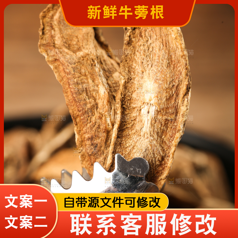 夹子夹着牛蒡根