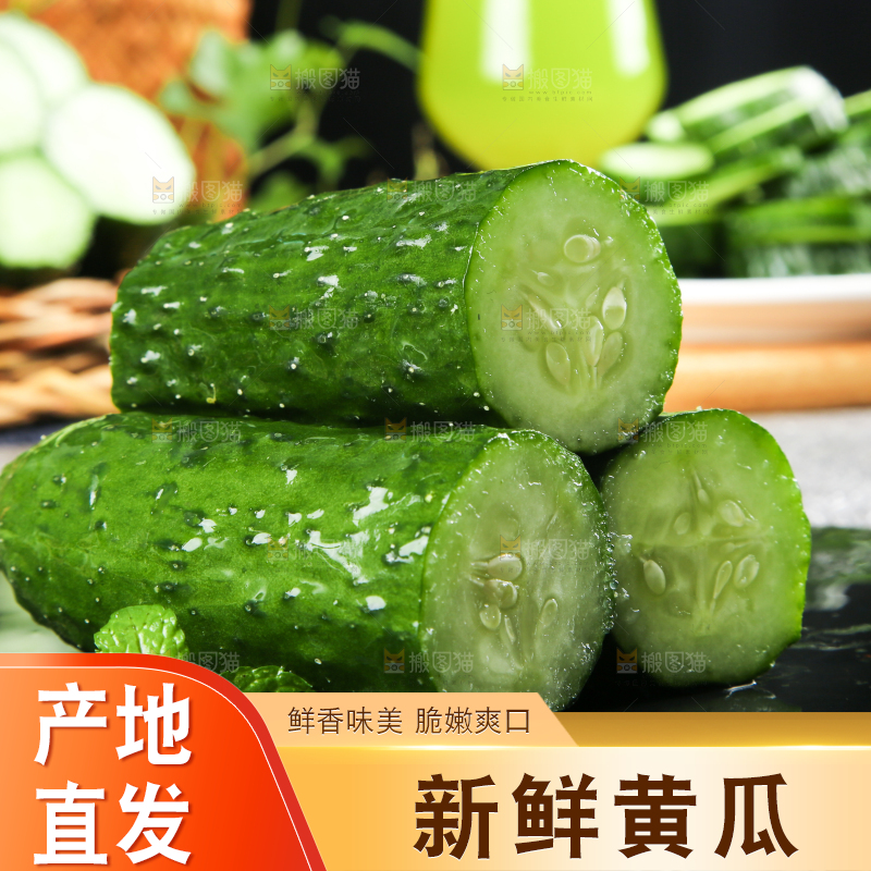 黑底上放着黄瓜