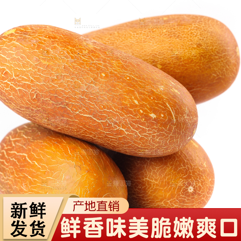 白底上摆放着老黄瓜