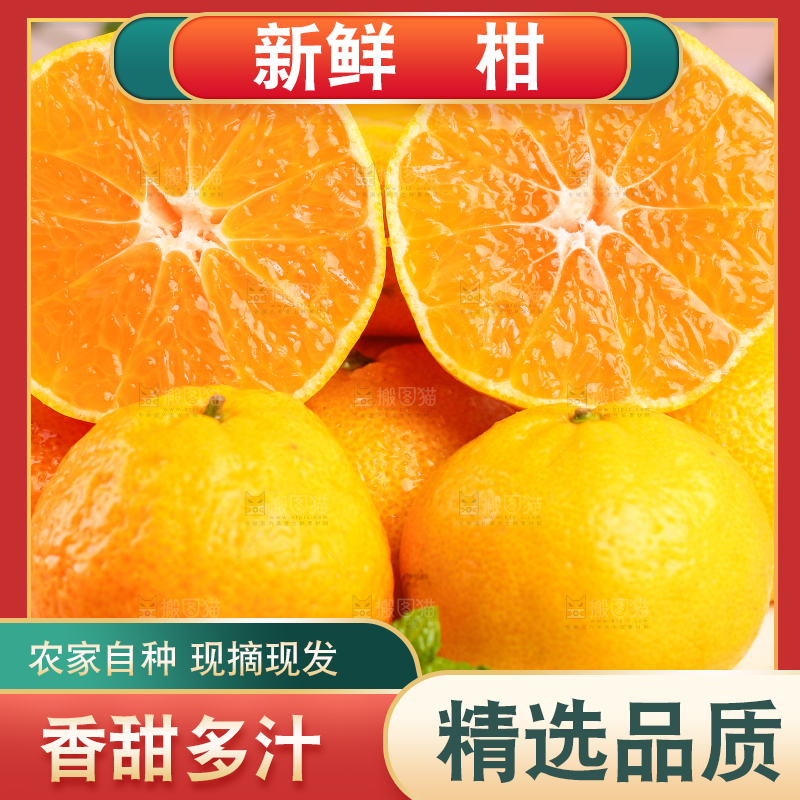 浅底上摆放着椪柑橘