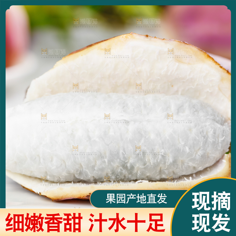 白底上摆放着八月瓜