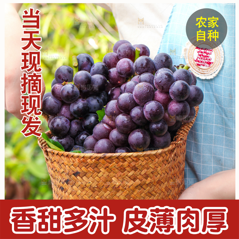 手端一筐巨峰葡萄