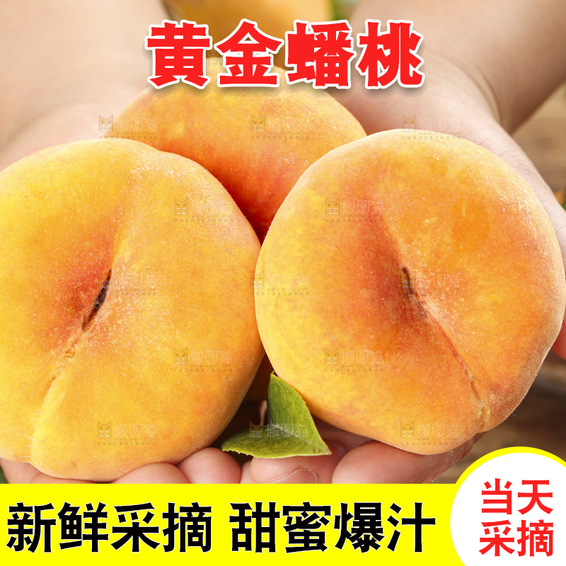 木底上手拿着的黄金扁桃