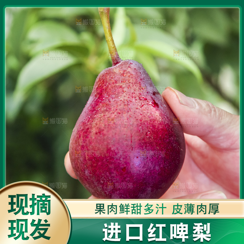 手拿红啤梨