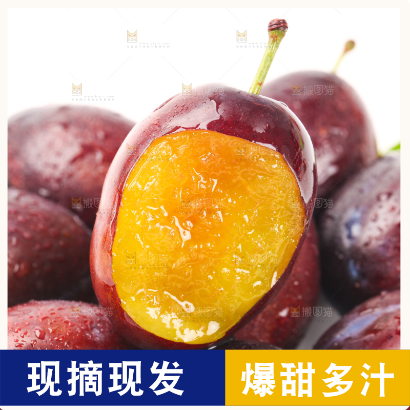 树叶上的西梅