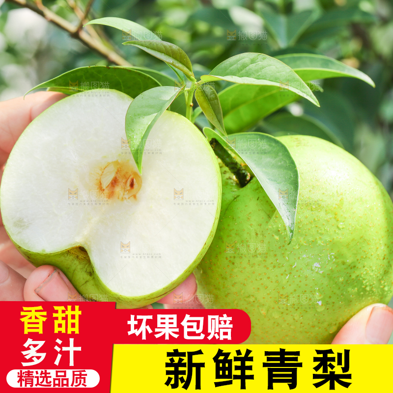 手里拿着切开的青皮皇冠梨
