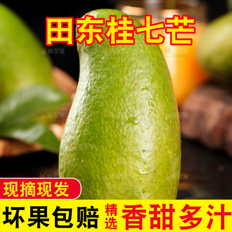 黑石板上的桂七芒