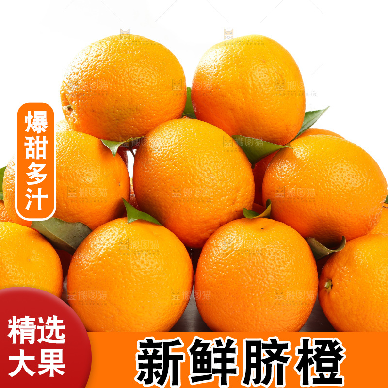 篮子里放着甜橙