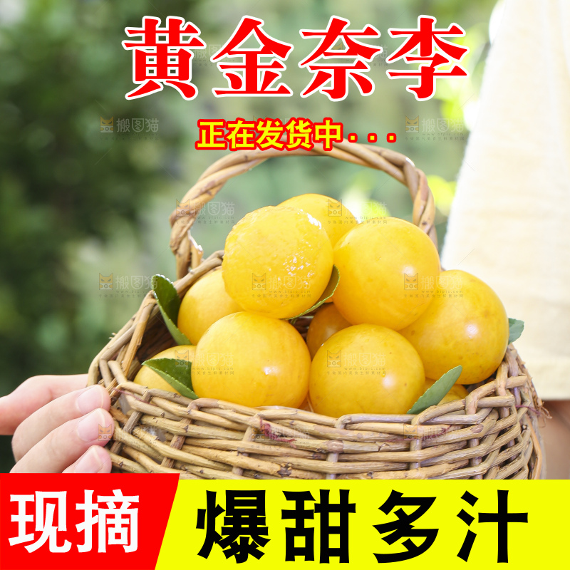 手拿一筐黄金奈李