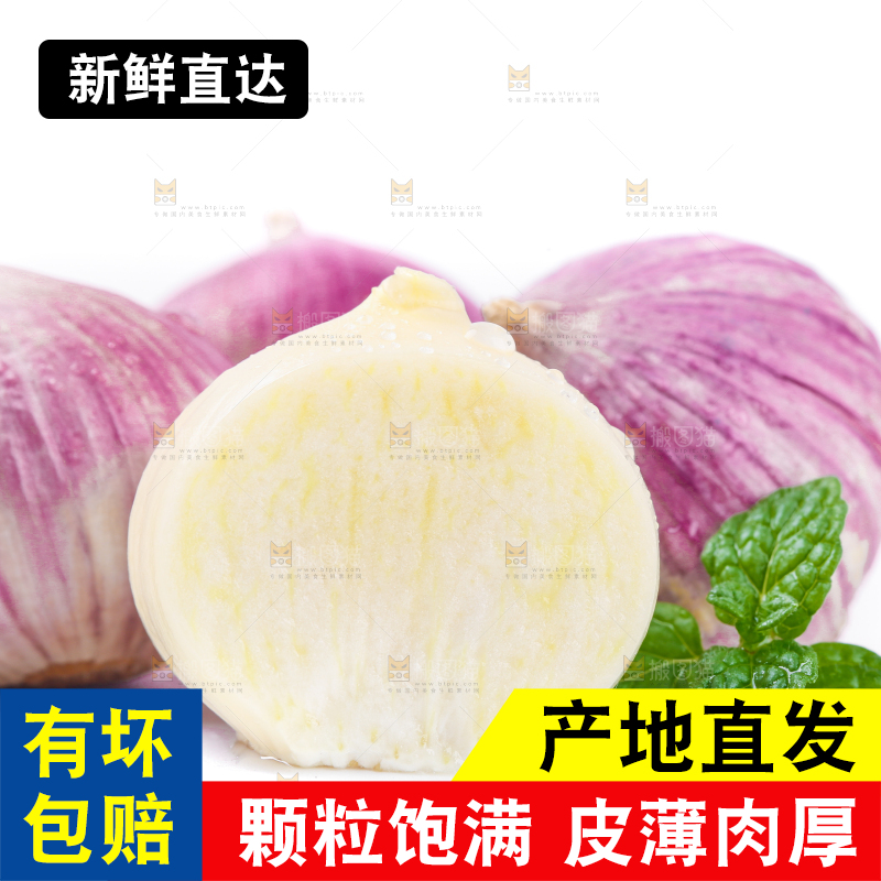 白底上摆放着紫皮独蒜