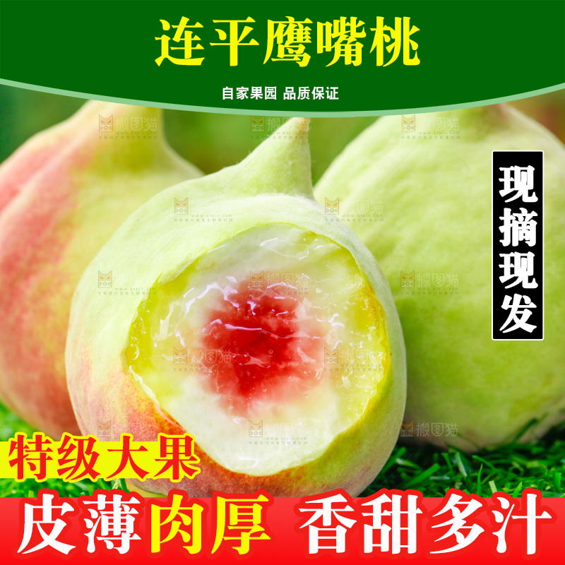 草地上的鹰嘴水蜜桃