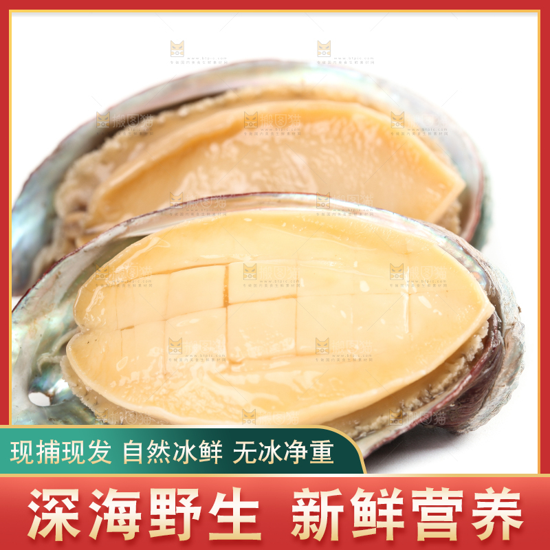 白底上放着新鲜剥开的鲜鲍鱼