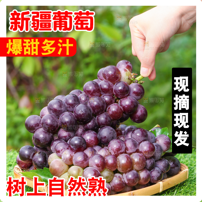 手拿巨峰葡萄