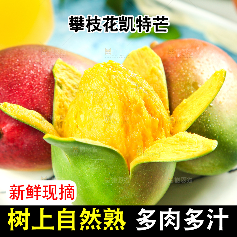 凯特芒主图