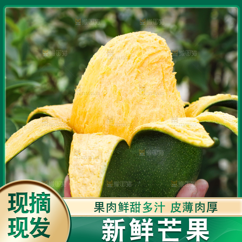 凯特芒主图