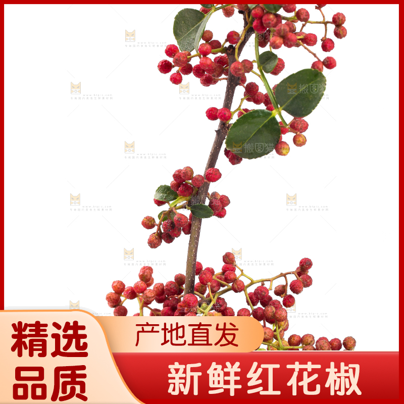 白底上的大红袍花椒