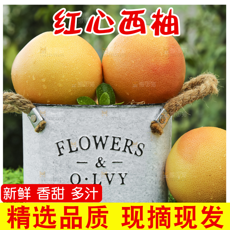 草地上放着一桶南非西柚