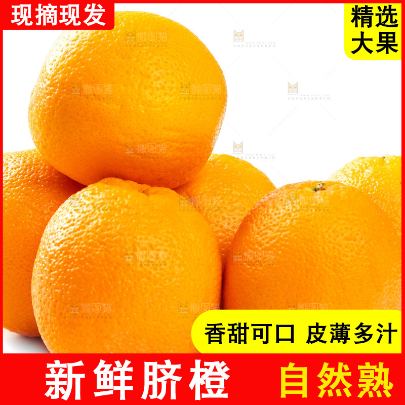 白底上摆放着橙子