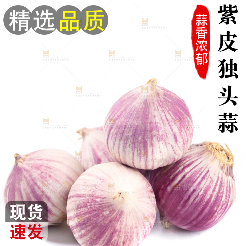 白底上摆放着独蒜