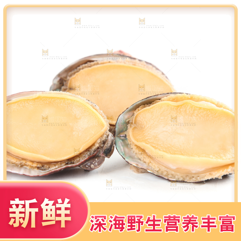 白底上的新鲜鲍鱼