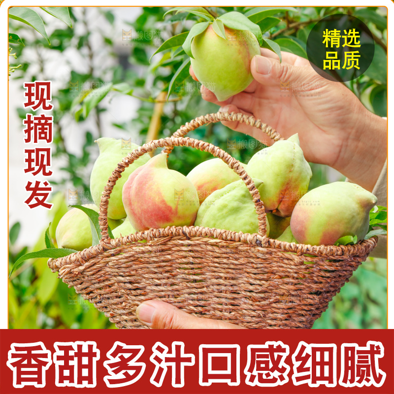 手拿云南鹰嘴水蜜桃