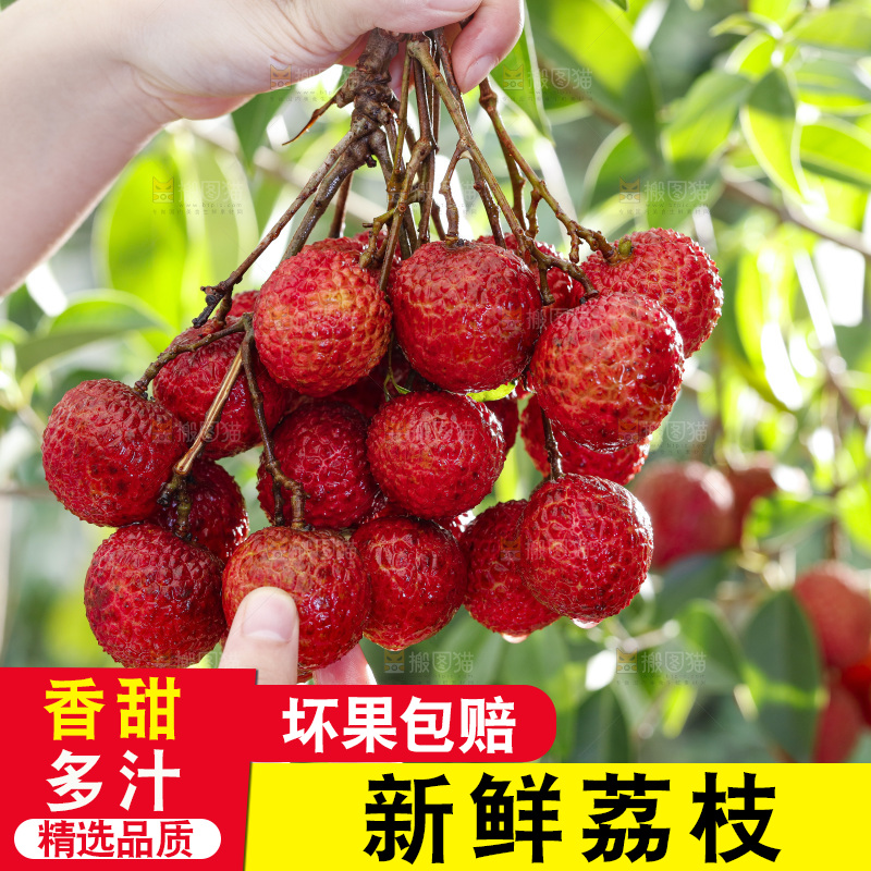 手拿荔枝