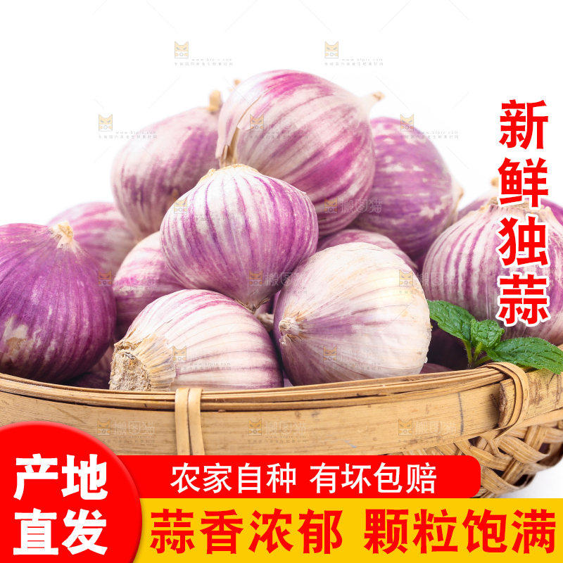 篮子里装着独头蒜