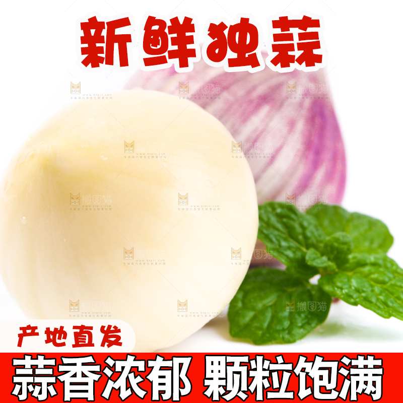 白底上摆放着紫皮独蒜