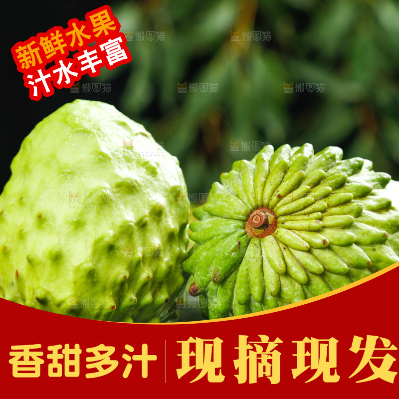 绿草地上摆放着释迦果