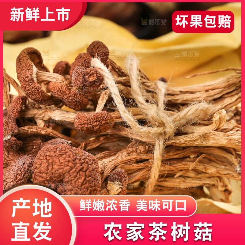 黄色纸上放着茶树菇