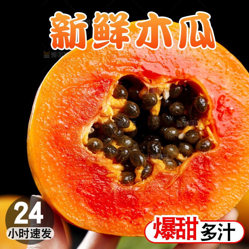黑底上的雷州冰糖心木瓜