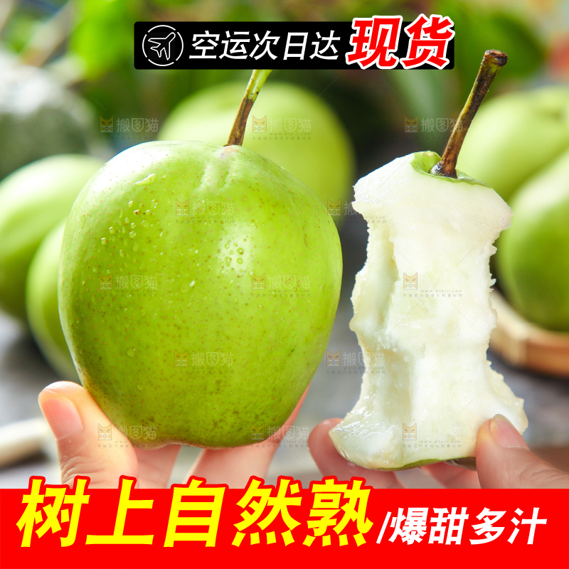 手拿早酥梨果核