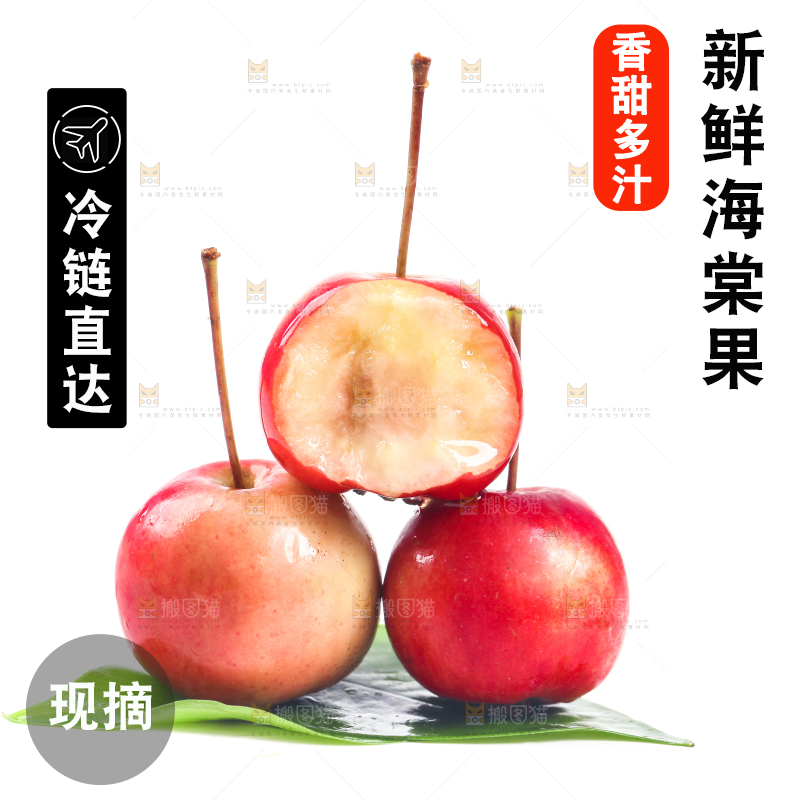 白底上的海棠果