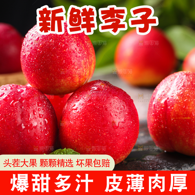 黑石板上的珍珠李