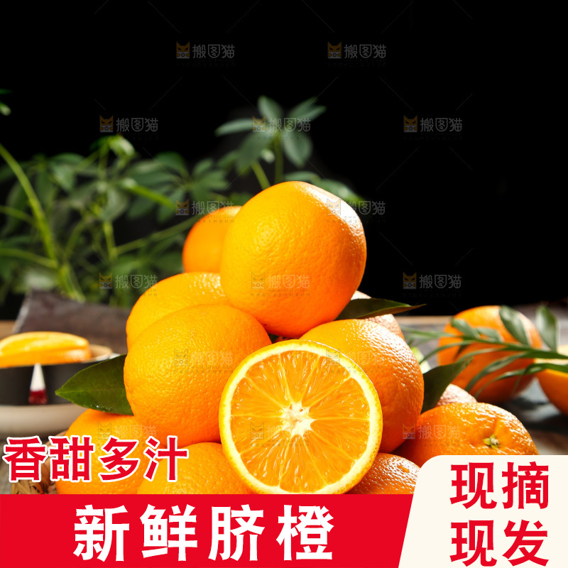 篮子里放着甜橙