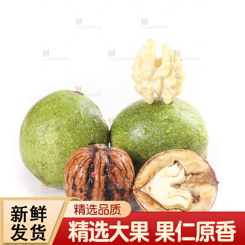 白底上的新鲜湿核桃