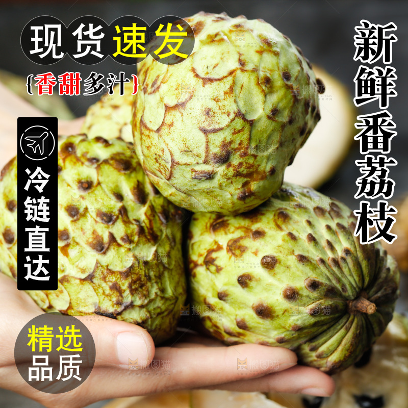 手里拿着牛奶释迦果