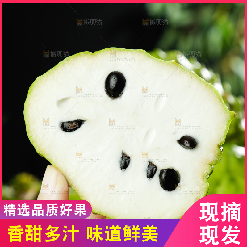 手里拿着释迦果