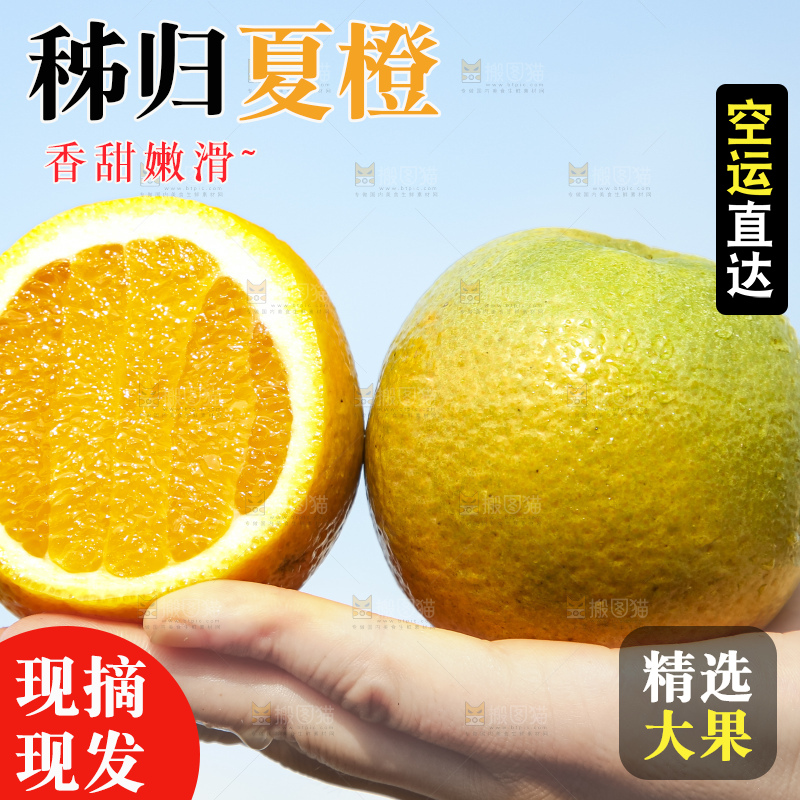 手拿切开的夏橙