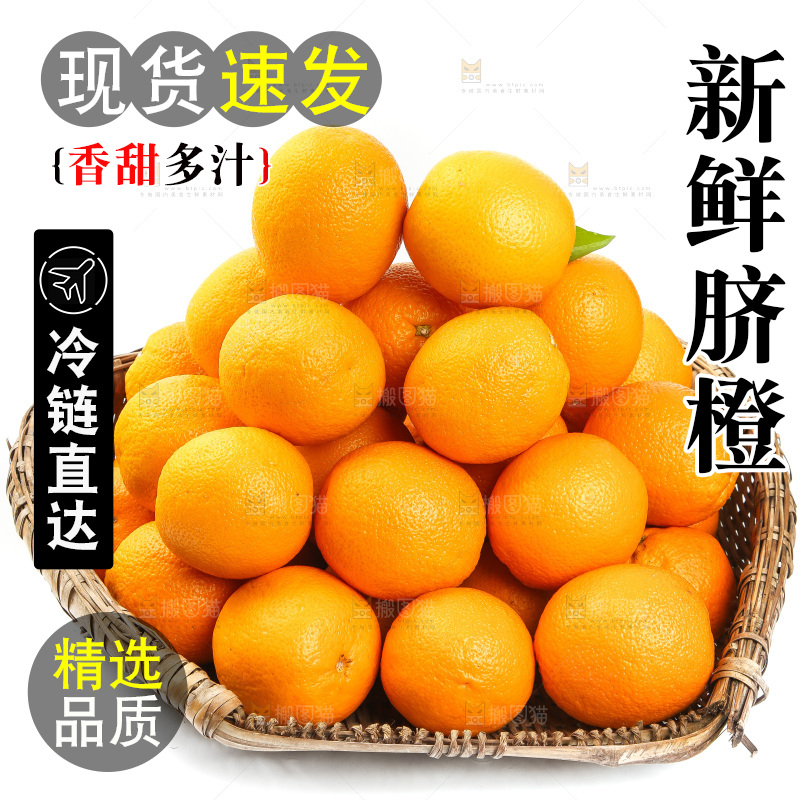 篮子里放着甜橙