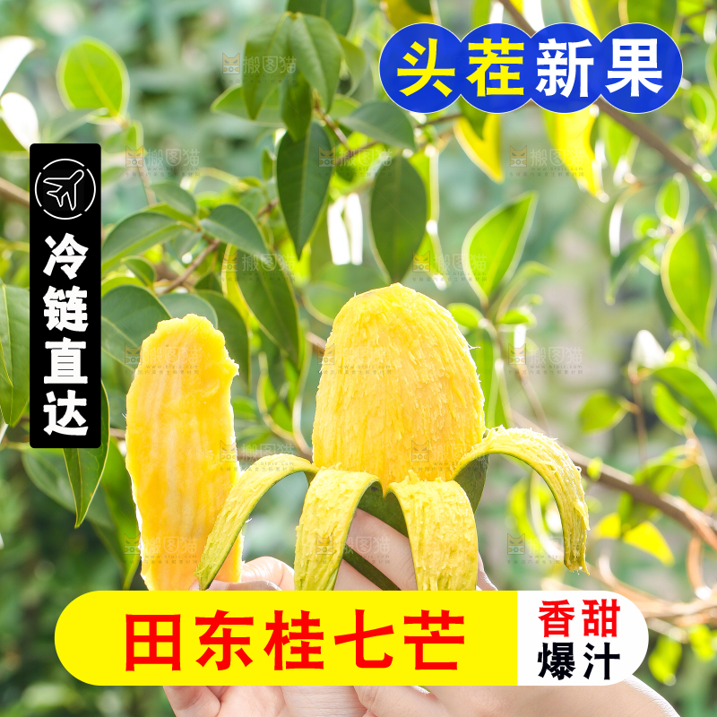 手拿剥皮的桂七芒