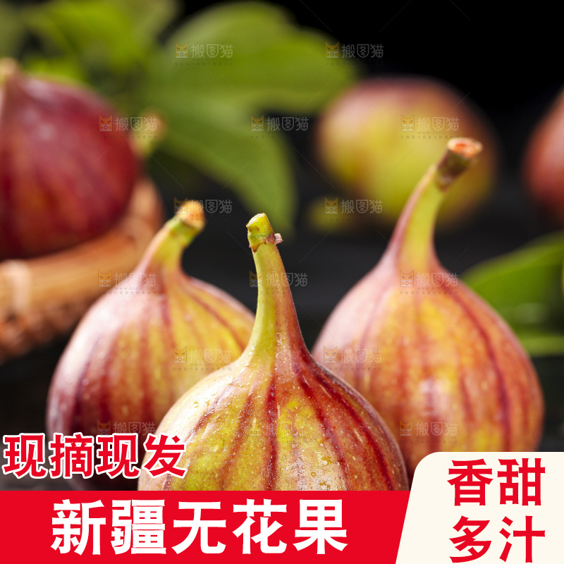黑底上的紫皮无花果