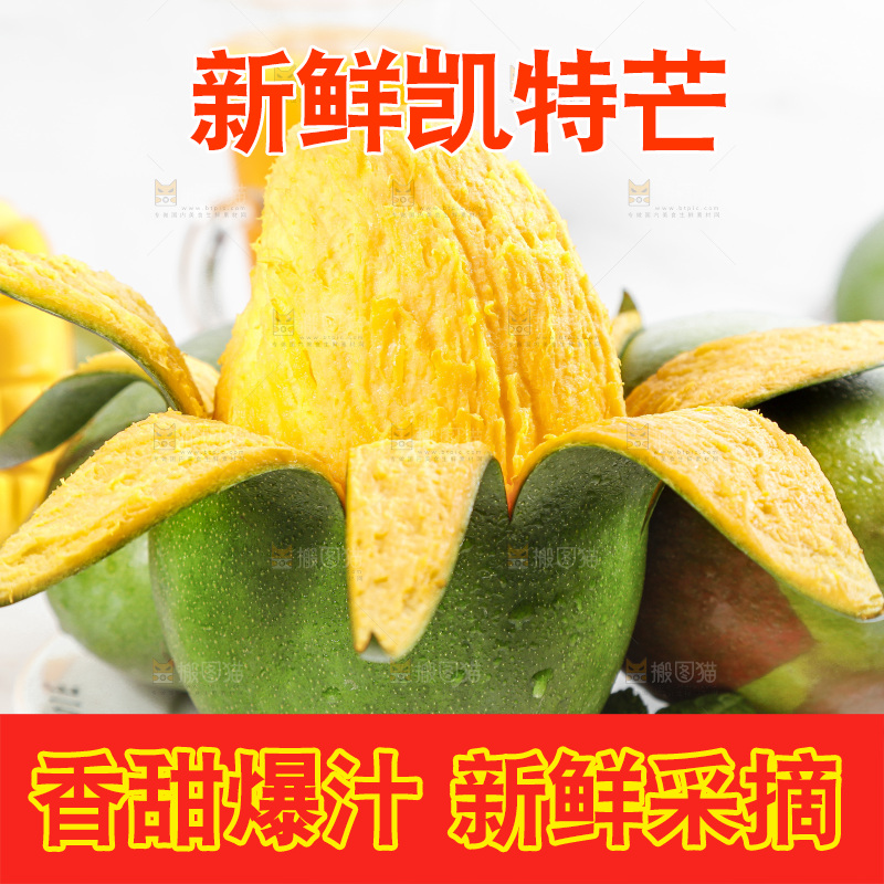 凯特芒主图