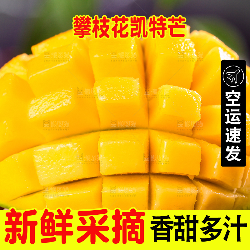 凯特芒主图