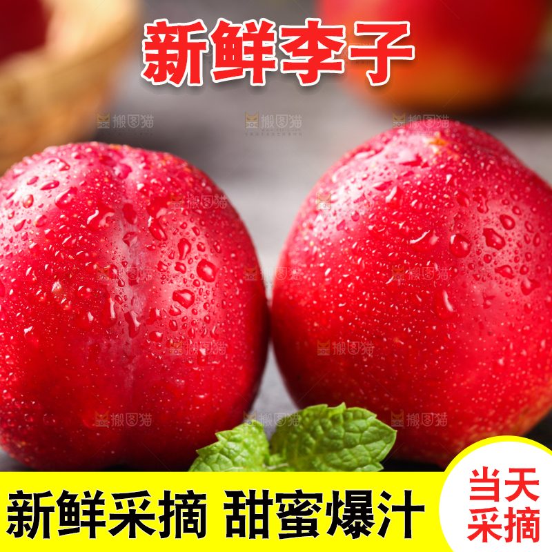 黑石板上的珍珠李